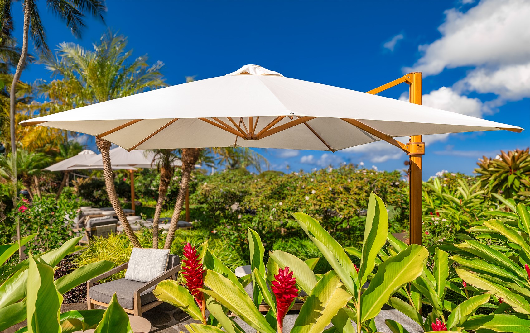 lounger under the shade of a tan Frankford Cantilever umbrella in front of flowers